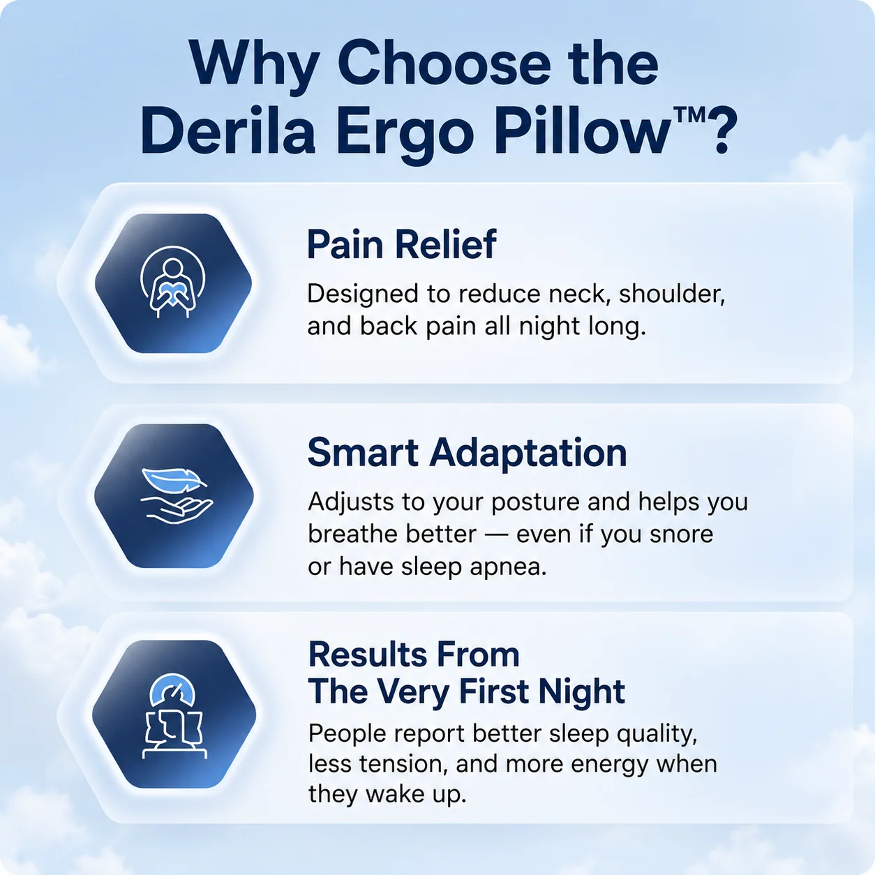 Derila Ergo pillow